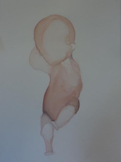 embryo 2