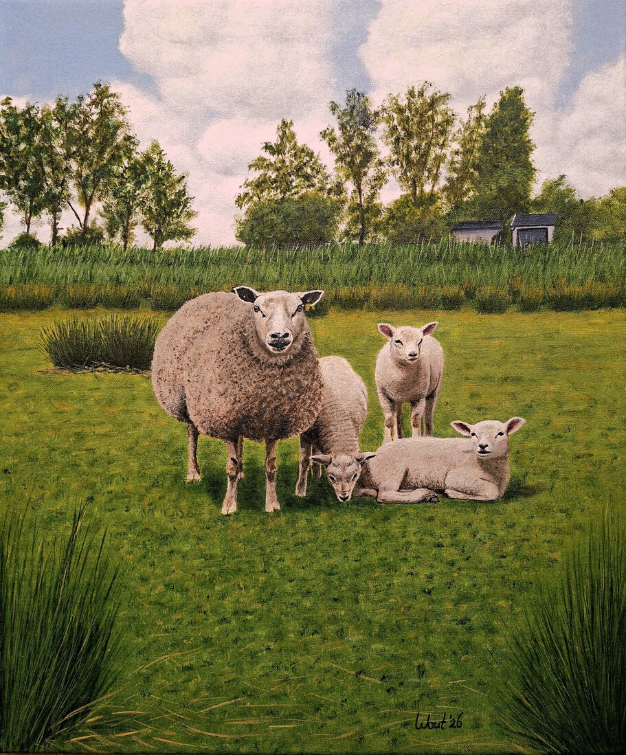 Schaap met lammeren