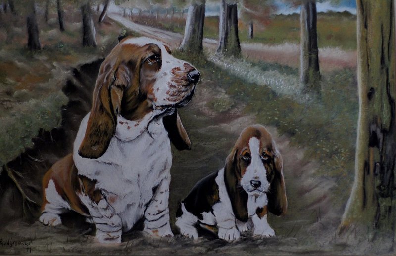 Bassets in bos