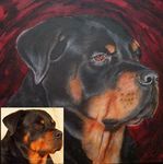 Dieren in opdracht:
prijs 1000,- euro