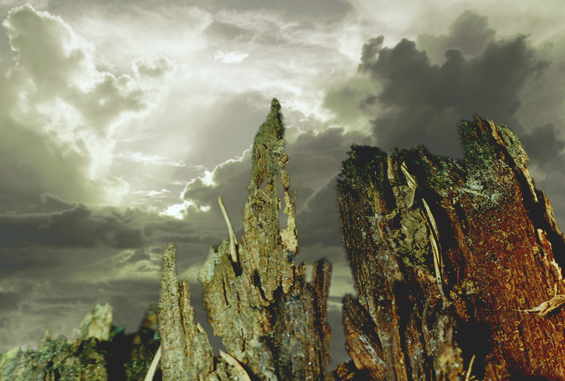 Mountain of Wood III