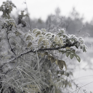 Vroege ochtend beelden in wintermaanden