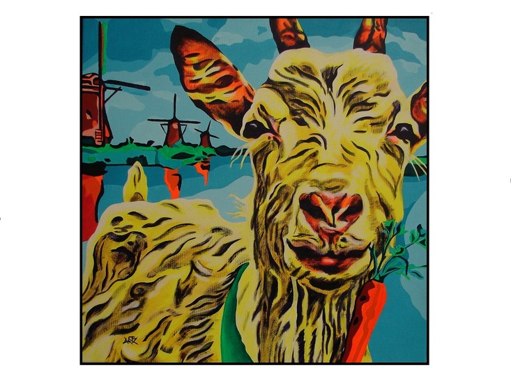 Dutch goat