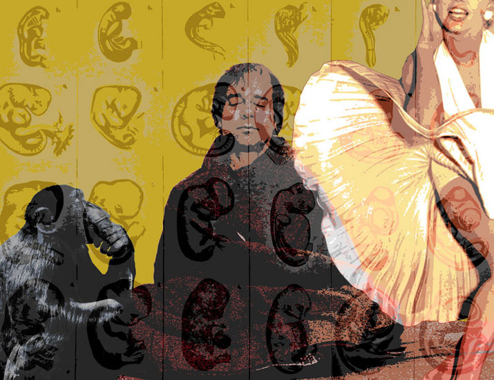 Monroe, monk and the monkey