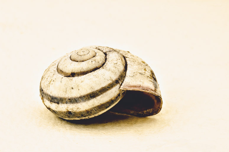 The sunny flat house