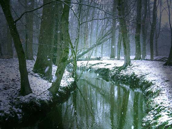 Sneeuw 1