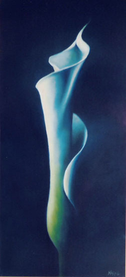 Kokervormige calla