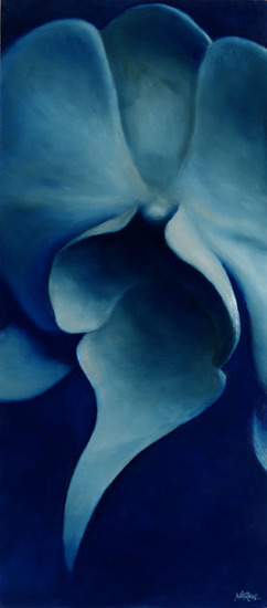 Orchidee 1