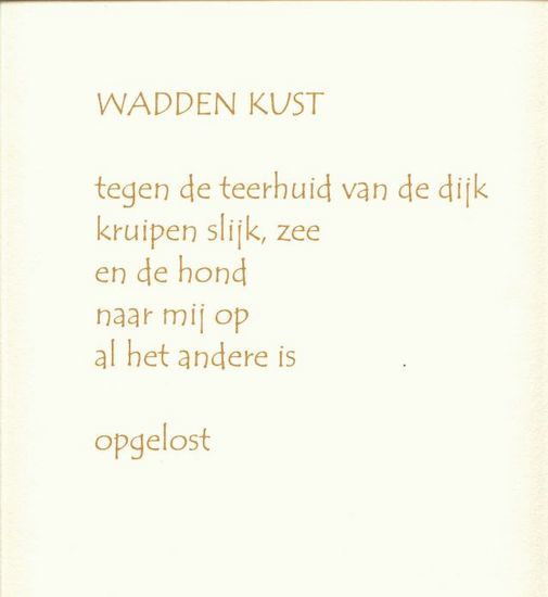 Wadden kust
