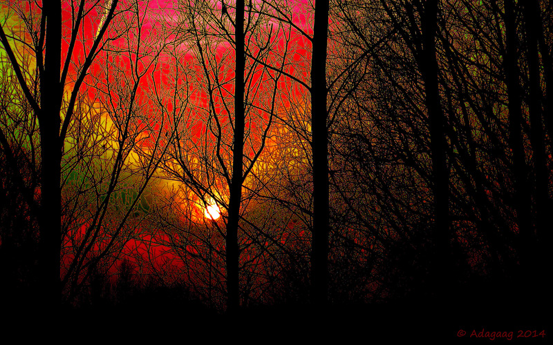 Goodbye of a beautifull day