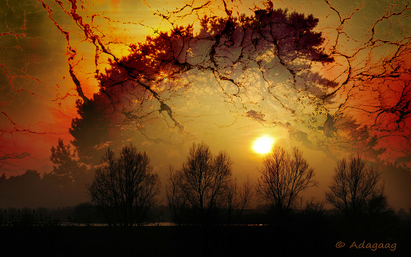 Five trees in marble