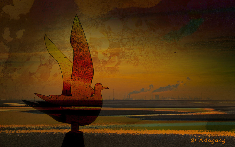 Het Hollandse strand