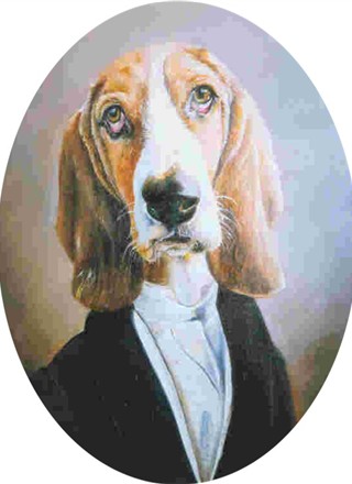 de heer beagle