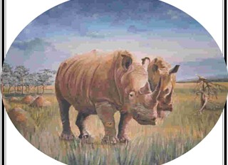 neushoorn