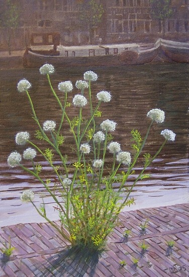 wilde peen op Emmakade