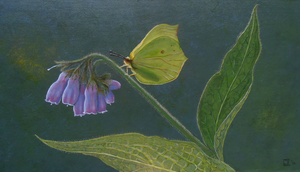 Realistische weergave van inheemse planten.