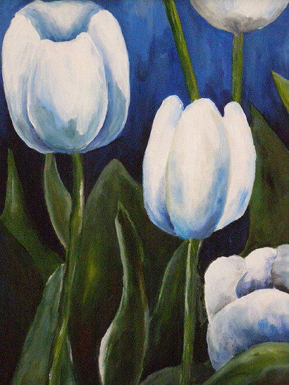 witte tulpen