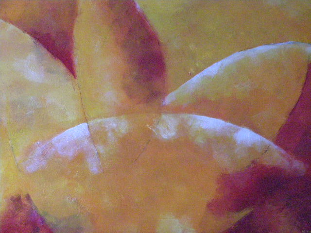 Yellow - Red & White