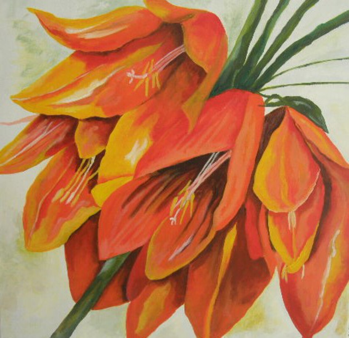 keizerskroon - bloem