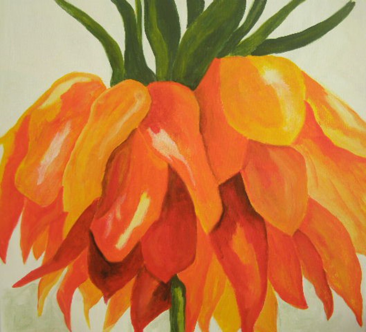 keizerskroon - bloem 2