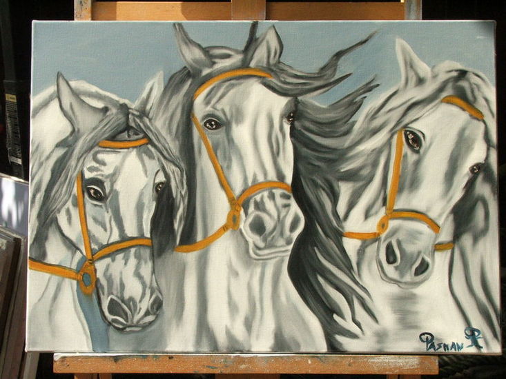 white trio horses