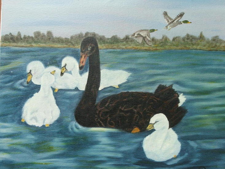 zwarte zwaan