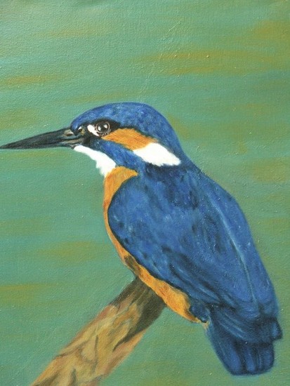 ijsvogel
