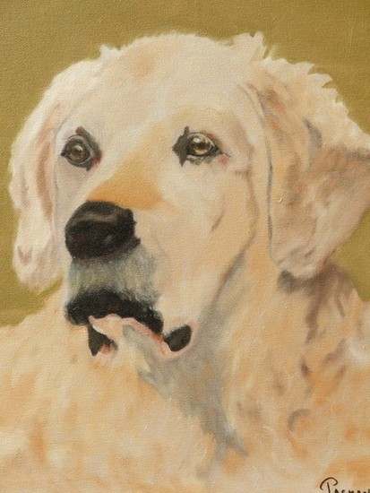 golden proud