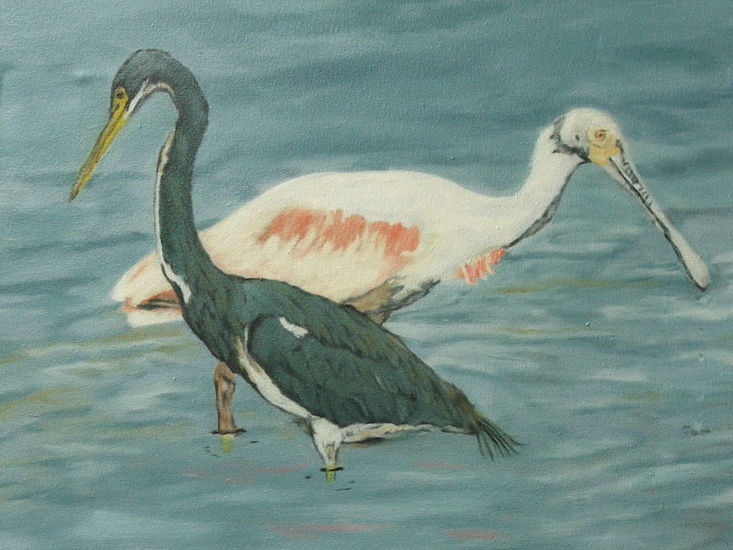 kraanvogel en lepelaar