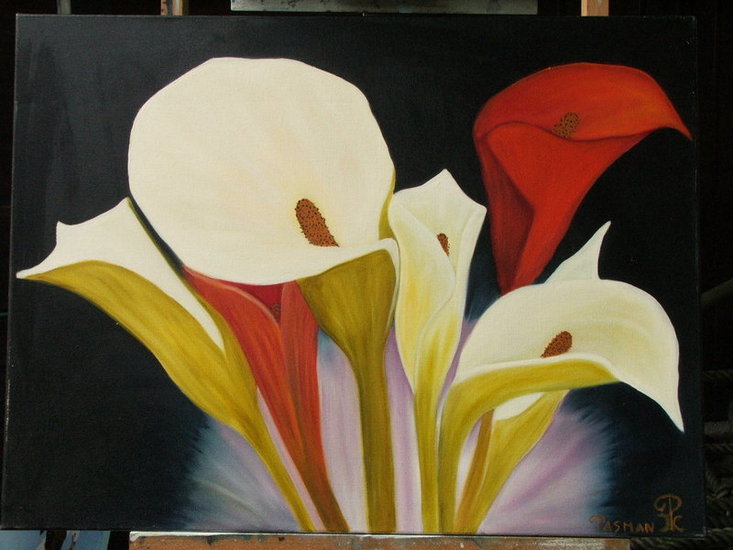 calla.s