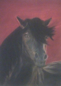 Blacky