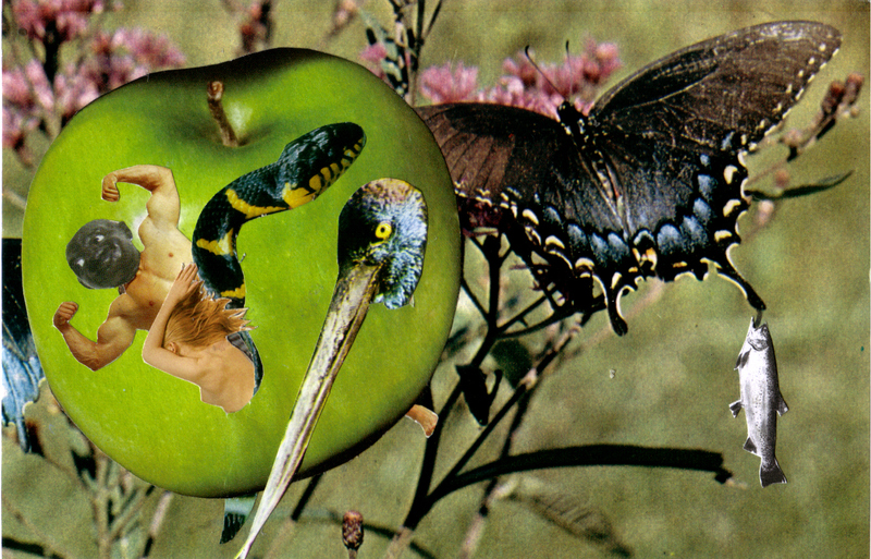 Jeroen Bosch (detail)