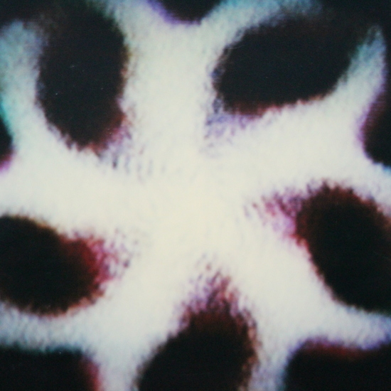 polaroid video stil