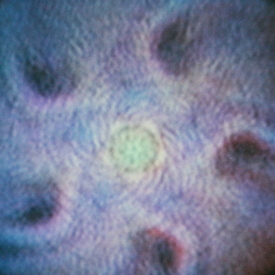polaroid video stil