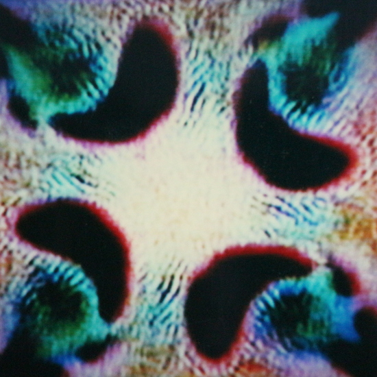 polaroid video stil