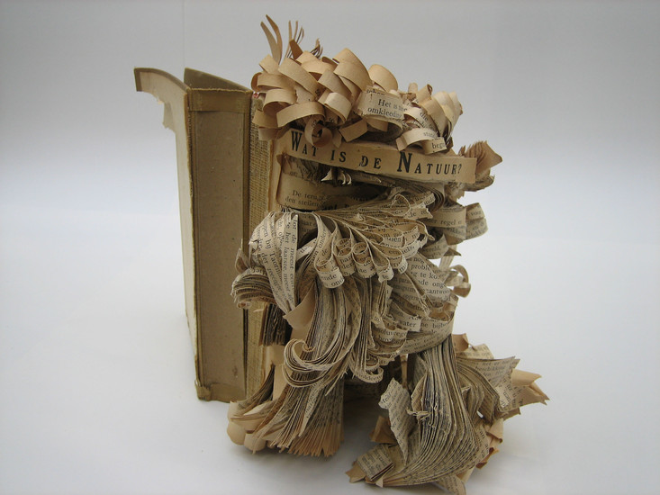 boek 4 Wat is de natuur?