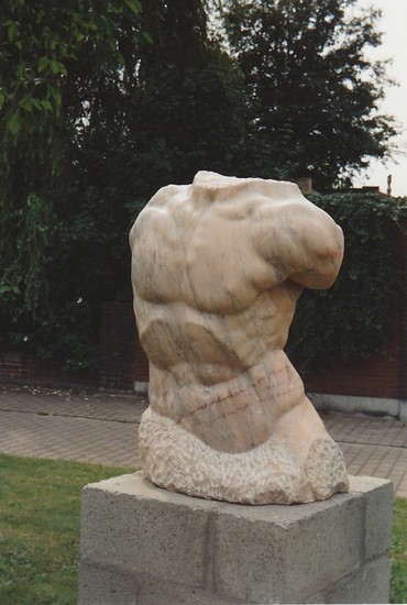 mannen torso