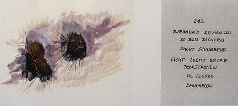 wolkenkrabbels&watertekens 2