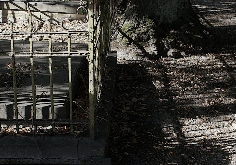 Reflections off the gate...