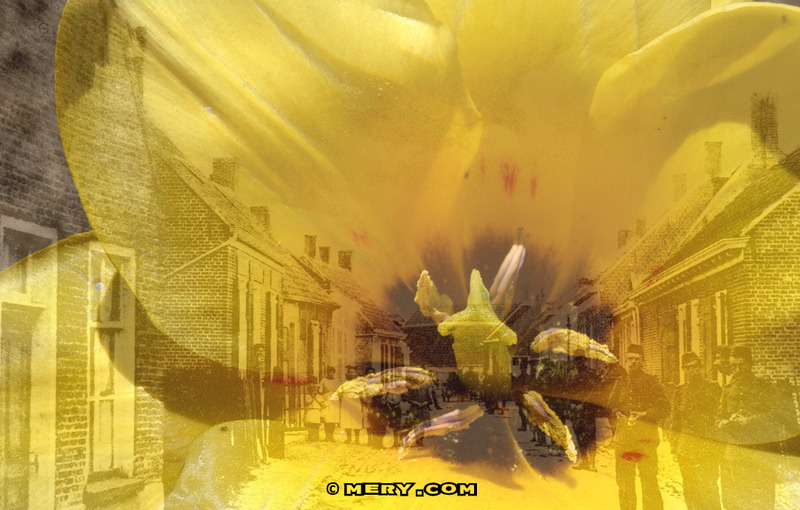 Double Exposure Halsteren 5