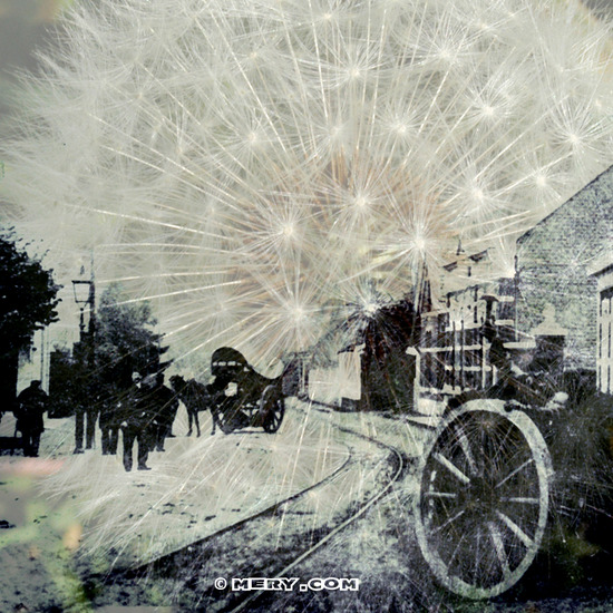 Double Exposure Halsteren 7