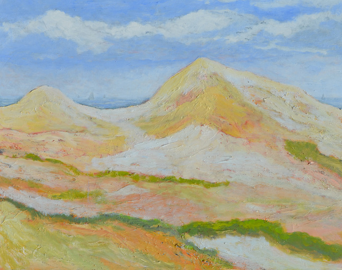 Duinen bij Ter Heijde