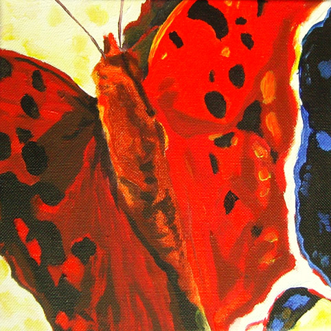 D261 vlinder 3