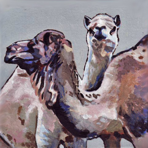 D420 kamelen