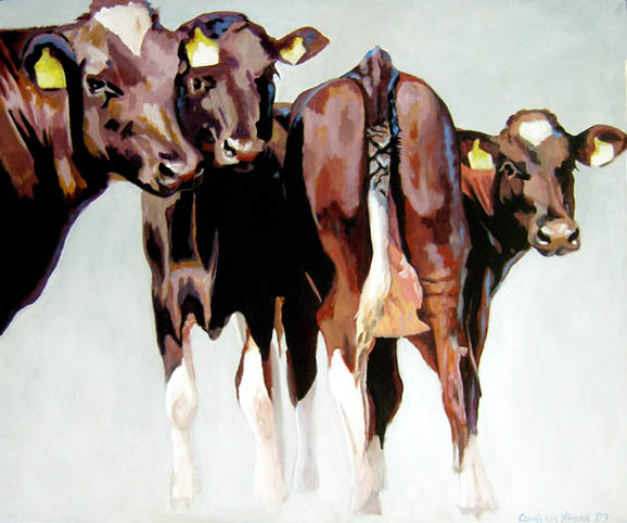 D303 koeien 41