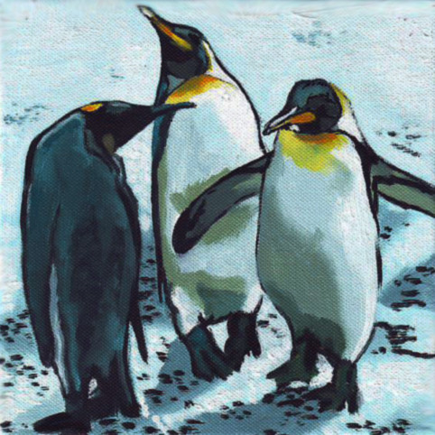 D352 pinguins
