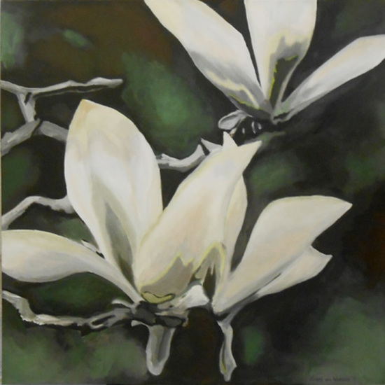 N246 magnolia