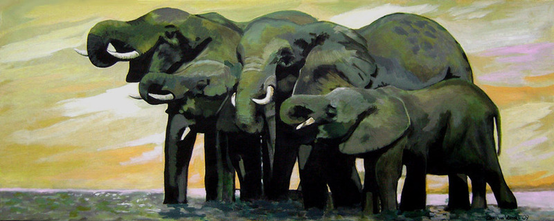D299 olifanten