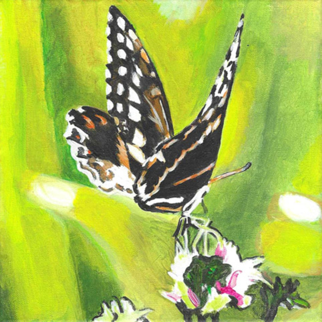 D640 vlinder