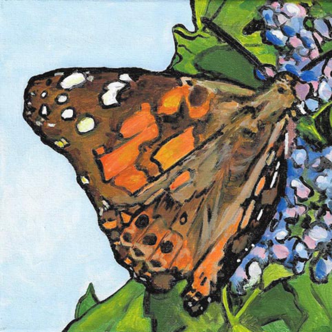 D654 vlinder